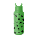 Minecraft Summit Water Bottle with Straw Lid